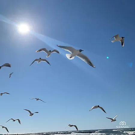 Sands Z Dostepem Do Basenow,saun,jacuzzi - Pinea Pobierowo-sannel For Rent Lägenhet Pobierowo