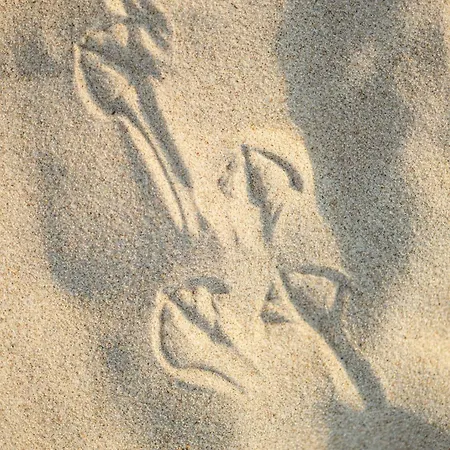 Lägenhet Sands Z Dostepem Do Basenow,saun,jacuzzi - Pinea Pobierowo-sannel For Rent *